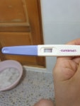 임신인가요?