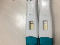 굿뉴스 얼리 시약선?