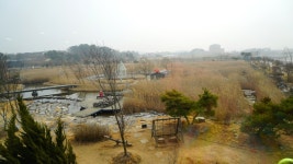 서울근교여행 추천 대부도 가볼만한곳 2019 올해의 관광도시 안산여행