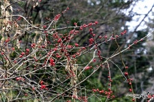 동남풍 바람아 불어라!
