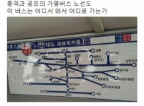 버스노선