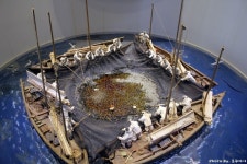 속초가볼만한곳, 속초시립박물관 발해역사관 아바이마을