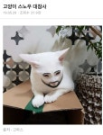 스노우