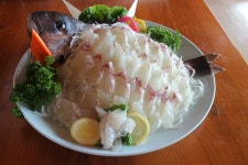 서귀포횟집 대포동산횟집에서 맛본 제주참돔