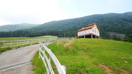 전남 광주근교 가볼만한곳 화순 무등산 양떼목장