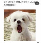 산책하자