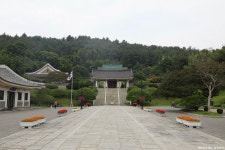 여름을 맞이하는 꽃, 능소화
