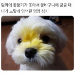 꽃향기