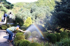 아침고요수목원 근처 맛집 청평유원지 - 다리유원지
