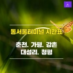 동서울터미널에서 춘천시외버스터널. 가평터미널. 대성리. 청평터미널. 강촌 시간표
