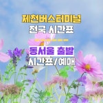 제천시외버스 터미널 시간표/제천시내버스/동서울 출발시간표/제천관광명소