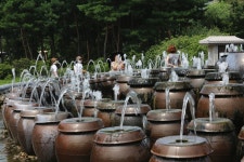 지금이 딱이야 양평 가볼만한곳 세미원 연꽃축제