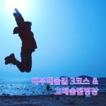 제4회 대부해솔길 걷기축제- 참가자 모집 중(10월 26일)경기도청소년수련원-하나투어