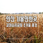 제4회 대부해솔길 걷기축제- 참가자 모집 중(10월 26일)경기도청소년수련원-하나투어
