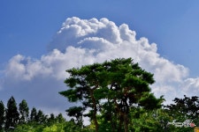 멋진 가을빛 뭉게구름