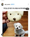 속지마염