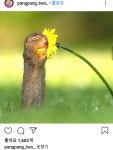 꽃향기