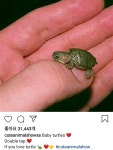거북아