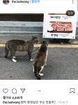 항정살