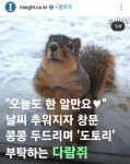 도토리