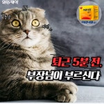 퇴근5분전