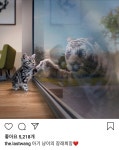 냥의 꿈