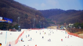 곤지암리조트 렌탈샵-라이클 추천 몬스터스노우 리프트권