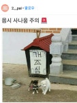 개조심
