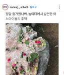 아이들의 추억
