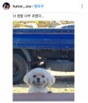 귀엽개
