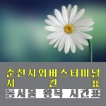 춘천시외버스터미널 시간표(동서울에서 춘천)