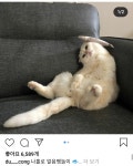 얼음땡