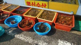 묵호 어시장