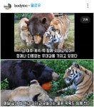 세친구