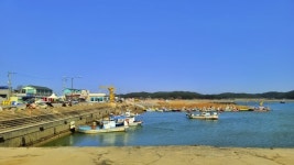 충남 태안 드라이브코스 드르니항 대하랑꽃게랑(코로나19)