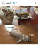짜장