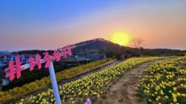 안면도 풀빌라 수영장펜션(지중해아침펜션)서해안 휴양지 추천