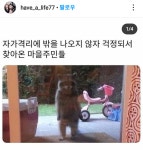 마을주민