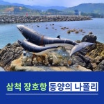 삼척 여행 장호항 동양의 나폴리에서 힐링을(장호항어촌체험마을)