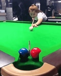 당구 묘기