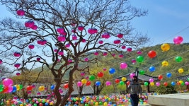 5월 전남 가볼만한곳 화순 여행코스 10 곳(무등산 양떼목장 외)