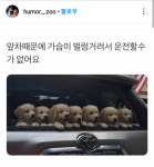 앞차