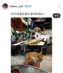 합석