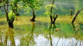 대전 여행, 금강로하스 해피로드 대청호 사진찍기 좋은 곳. 대전 출사지 추천