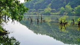 대전 여행, 금강로하스 해피로드 대청호 사진찍기 좋은 곳. 대전 출사지 추천
