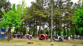 춘천 자전거 대여(공지천.소양강스카이워크)라이딩 코스로 최고