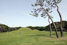 조용하게 산책하기 좋은 곳, 경주 오릉