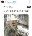 어서오시게