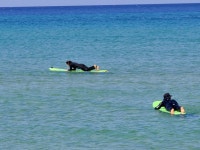 강원도 양양 남애3리해수욕장 동해안 여름 여행지 추천