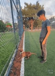 댕댕이 교육
